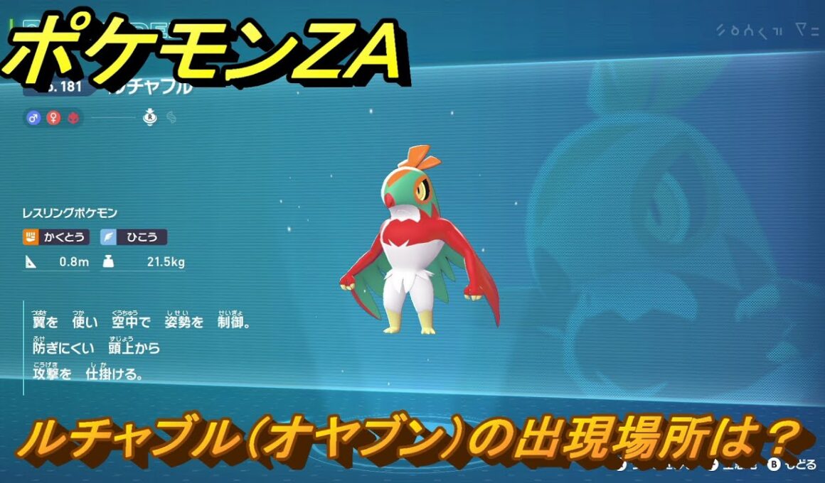 ポケモンＺＡ　ルチャブル（オヤブン）の出現場所は？図鑑１８１　＃５０７　【Pokémon LEGENDS Z-A】