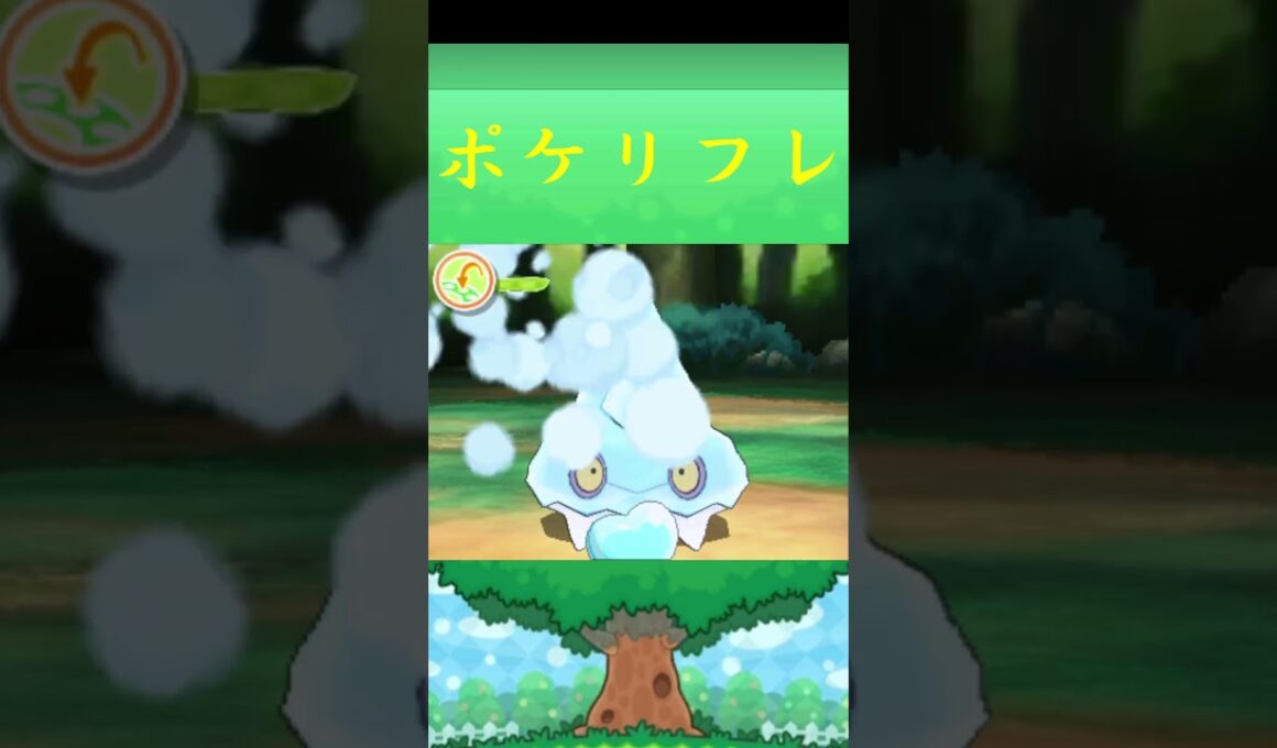 カチコール*ポケモン ポケリフレ ポケパルレ #ポケモン #Pokemon  #3DS #nintendoswitch #ポケモンsv #ポケモン #キャンプ #サンドイッチ #ピクニック