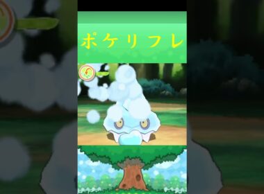 カチコール*ポケモン ポケリフレ ポケパルレ #ポケモン #Pokemon  #3DS #nintendoswitch #ポケモンsv #ポケモン #キャンプ #サンドイッチ #ピクニック