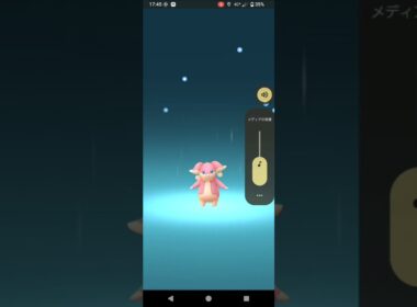 ポケモンGO　メガタブンネ　色違い