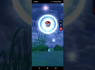 R.6.11.27.に投稿したポケモンgo1のトサキント 20240915にプレイ