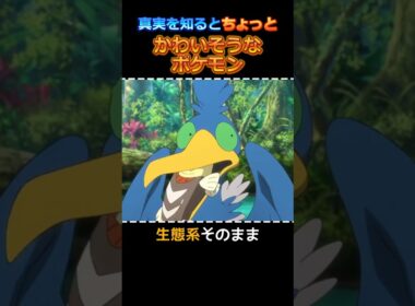 真実を知るとかわいそうになってしまうポケモン