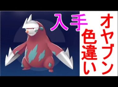 【ポケモンZA】ドリュウズ色違い厳選の入手場所【レジェンズZA】攻略実況