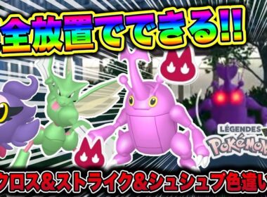 【ポケモンZA】完全放置でできる！ストライク＆ヘラクロス＆シュシュプ色違い厳選方法！