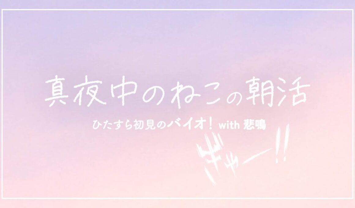 コメダのナポリタン706kcal【初見バイオCODE:Veronica】