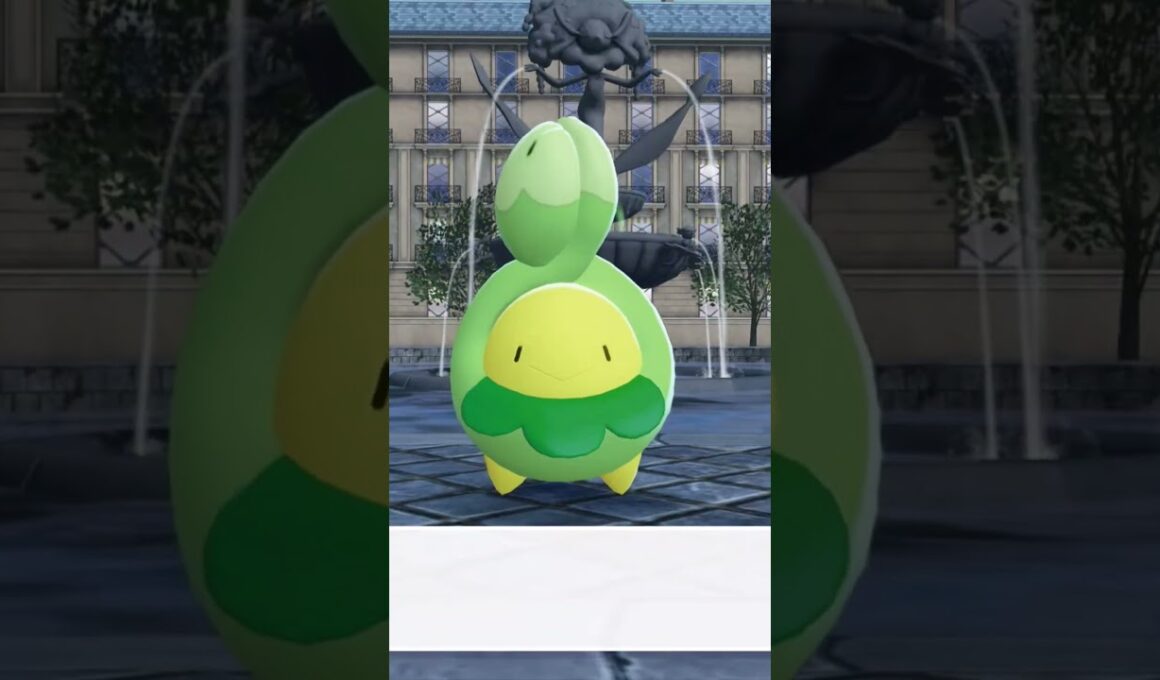 スボミーの品評会 かわいい❣️【ポケモンZA】