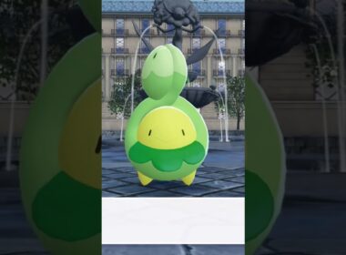 スボミーの品評会 かわいい❣️【ポケモンZA】