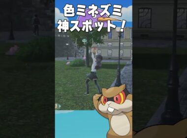 A連打だけで色違いミネズミ厳選　#shorts  #Pokémon LEGENDS Z-A