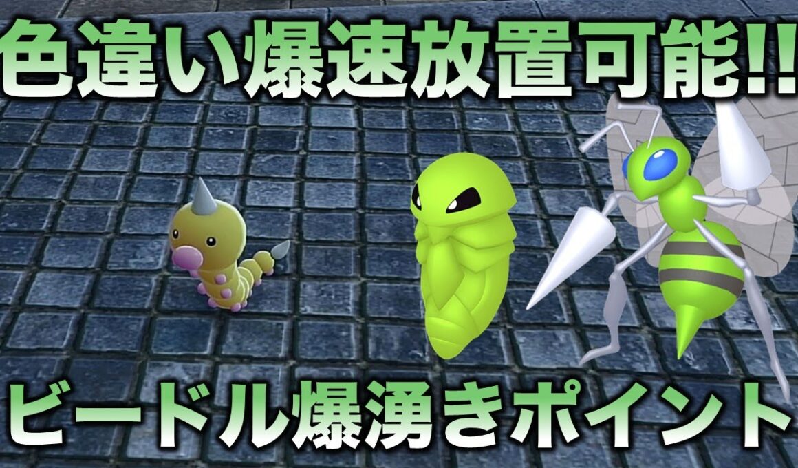 【メガ色違い!!】ビードル・コクーン・スピアー編!!【ポケモンZA】