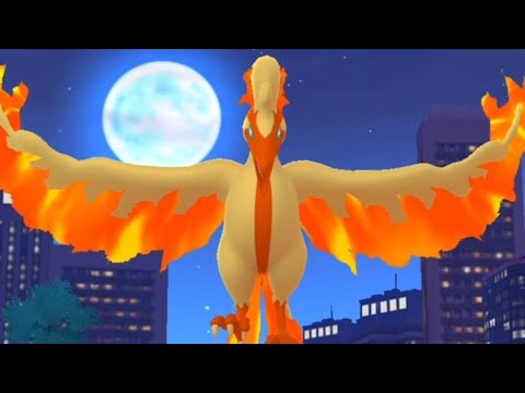 お散歩おこうでまさかの色違いガラルファイヤー捕獲！？耐久戦の結末は…#ポケモンgo #色違いガラルファイヤー #伝説ポケモン #おさんぽおこう #捕獲成功