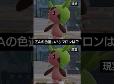 【ポケモンZA】色違いハリマロン出現・入手の理想と現実【ポケモン レジェンズZ-A】 #ポケモン #ポケモンZA #ZA #pokemon