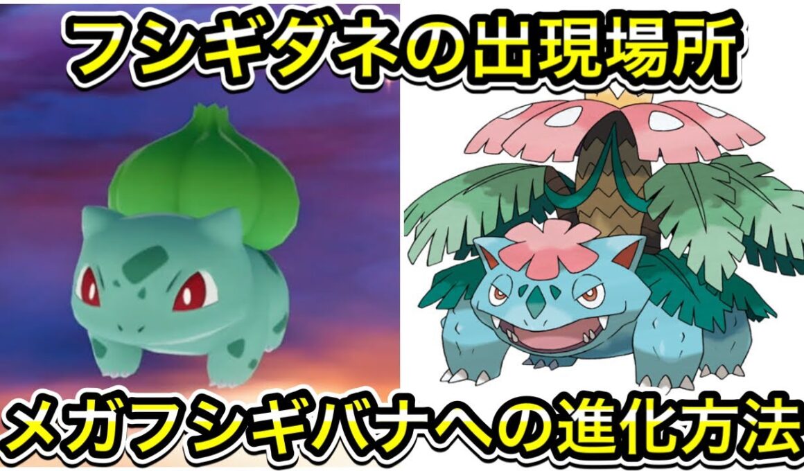 【レジェンズZA】フシギダネの出現場所！メガフシギバナへの進化方法を解説