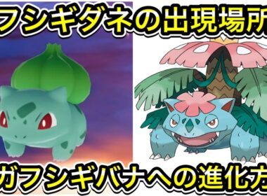 【レジェンズZA】フシギダネの出現場所！メガフシギバナへの進化方法を解説