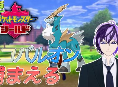 【#ポケモン剣盾 】色コバルオン捕まえたい