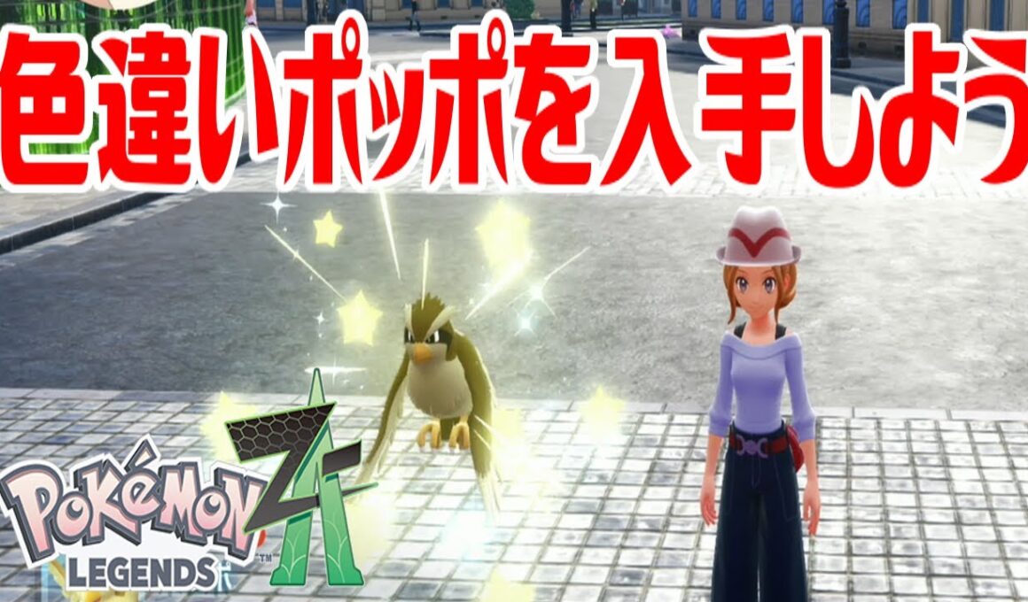 【ポケモンZ-A】色違いポッポを入手しよう【Pokémon LEGENDS Z-A】