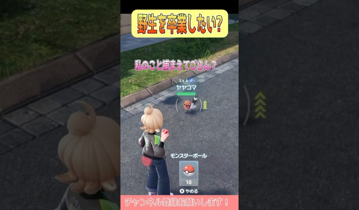 【ポケモンZA】人懐っこいヤヤコマちゃん可愛い #shorts #ポケモンレジェンズ #ポケモンレジェンズza #ポケモン #ヤヤコマ