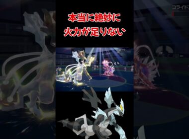 ブラックキュレムが使われない理由【ポケモンSV】