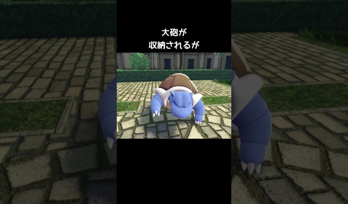 カメックスが寝ると…【ポケモンZA】