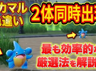 【ポケモンZA】色違いフカマルが2体出た超効率的な厳選方法を徹底解説！【レジェンズZA】【Pokémon LEGENDS Z-A】