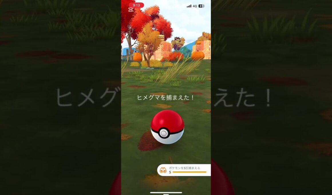 #Pokémon Go #ハロウィンヒメグマ#ポケモンゴー