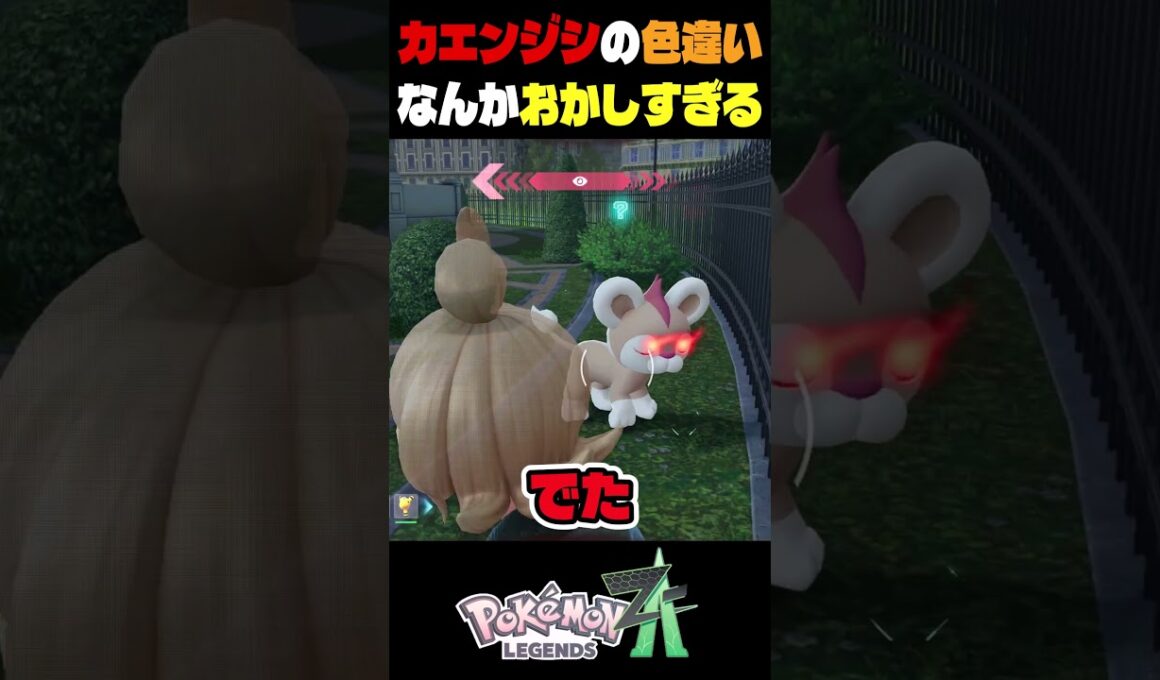 ポケモンza色違い厳選　メガシンカしたカエンジシがおかしすぎる