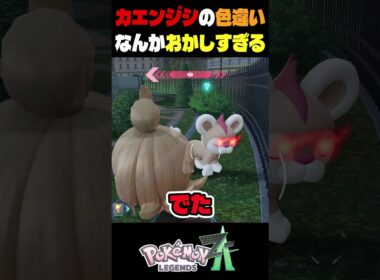 ポケモンza色違い厳選　メガシンカしたカエンジシがおかしすぎる
