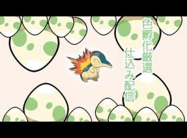 【#ポケモンSV】孵化厳選配信：ヒノアラシ色