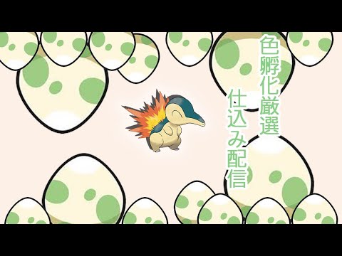 【#ポケモンSV】孵化厳選配信：ヒノアラシ色