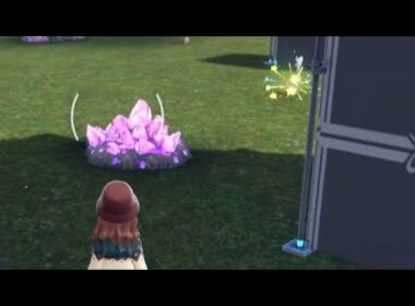 色違いホルビー#ポケモンza