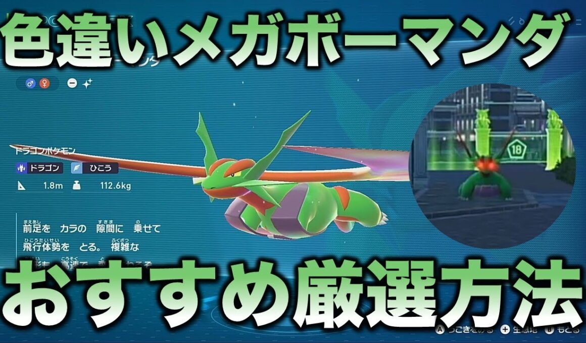 【メガオヤブン色違い!!】メガボーマンダ編!!【ポケモンZA】