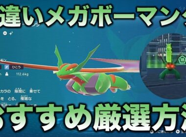 【メガオヤブン色違い!!】メガボーマンダ編!!【ポケモンZA】