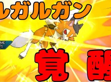 【ポケモンUSUM】高速高火力！覚醒した『ルガルガン』の姿を見よ！