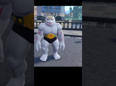 ワンリキー、ゴーリキー、カイリキー眠りかた　#ポケモン #ポケモンza #ワンリキー #ゴーリキー #カイリキー