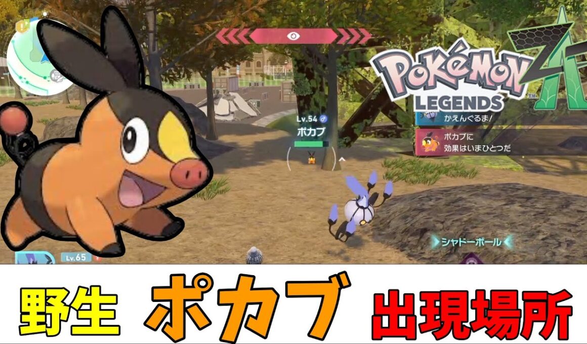 【ポケモンZA】野生のポカブ出現場所（ストーリークリア後）
