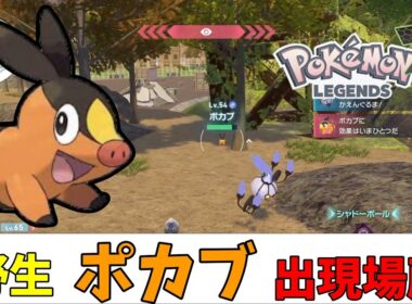 【ポケモンZA】野生のポカブ出現場所（ストーリークリア後）