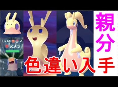 【ポケモンZA】ヌメラ色違い厳選場所ヌメルゴン特殊進化方法【レジェンズZA】連射コンなし攻略実況