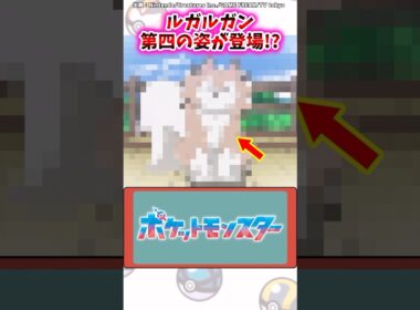 ルガルガン、第四の姿が登場!?【ポケモン反応集】#アニポケ #リコロイ #メガボルテージ