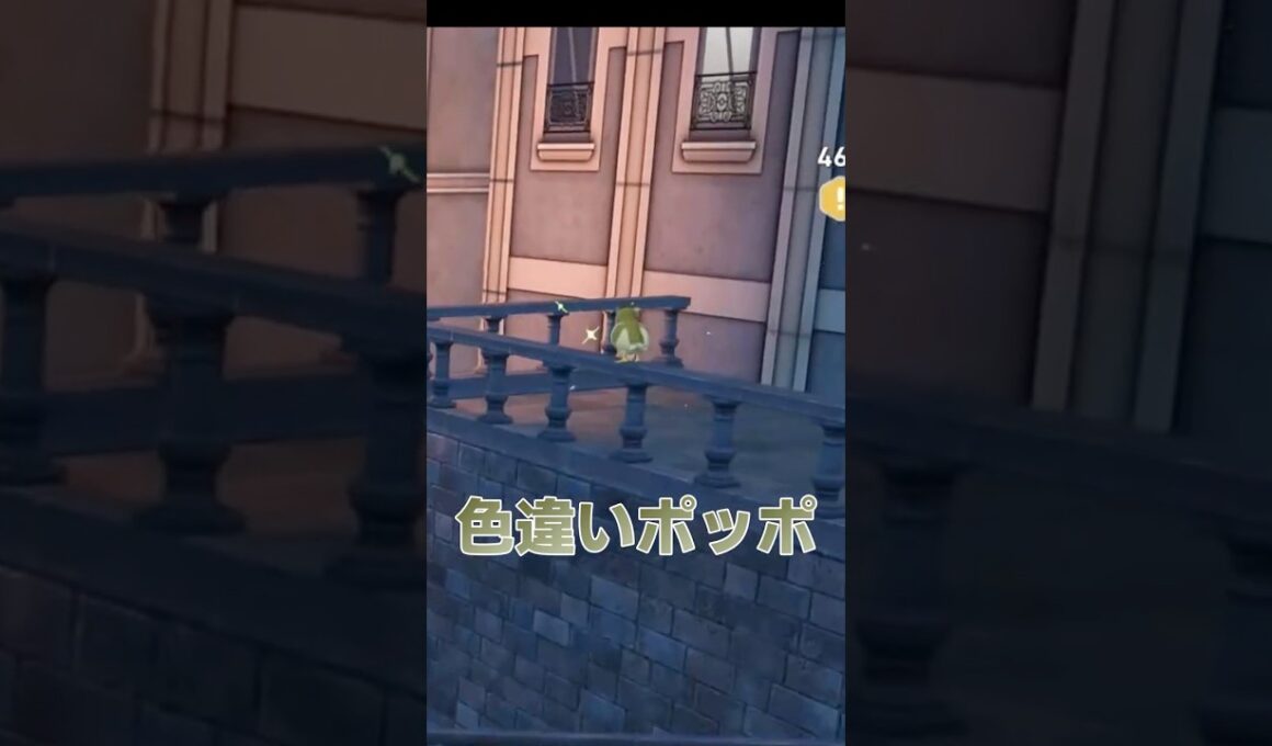 【ポケモンZA】空へ消えてった色違いポッポ【LEGENDS Z-A】#ポケモン #pokemon #ポケモンza