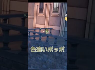 【ポケモンZA】空へ消えてった色違いポッポ【LEGENDS Z-A】#ポケモン #pokemon #ポケモンza