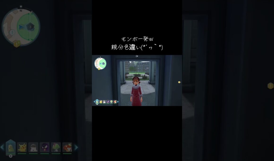 親分色違いヤヤコマGET( *˙ω˙*)و ｸﾞｯ! #ポケモンza