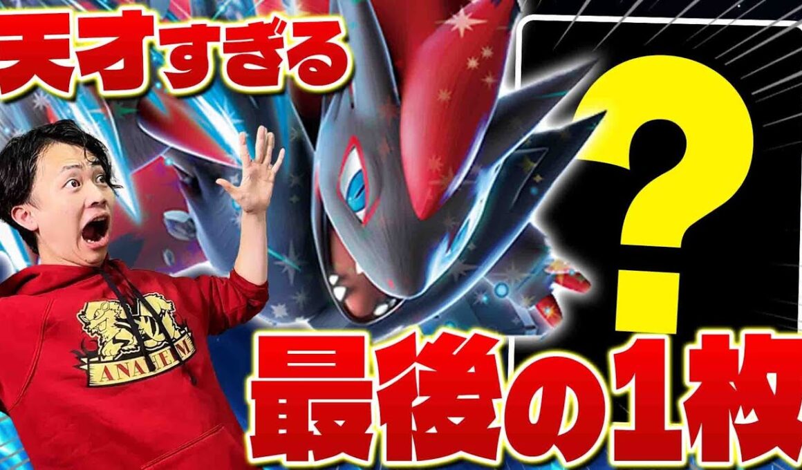 【ポケカ/対戦】相性を変える最強の1枚!!最新型Nのゾロアークexデッキ(vsドラパルトex/メガアブソル+メガガルーラex)