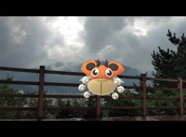 [GO Snapshot Slideshow] 레디바 ( Ledyba ) レディバ