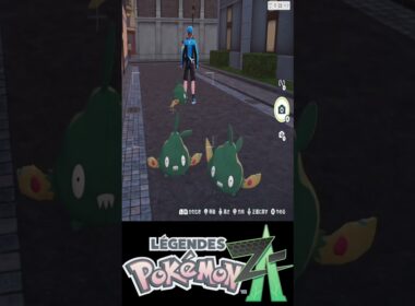 【ポケモンZA】ヤブクロン目線