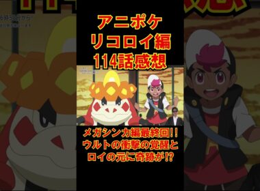 【アニポケリコロイ編114話感想】スランプを超えたウルトの覚醒とロイの起こすルカリオの奇跡とは⁉