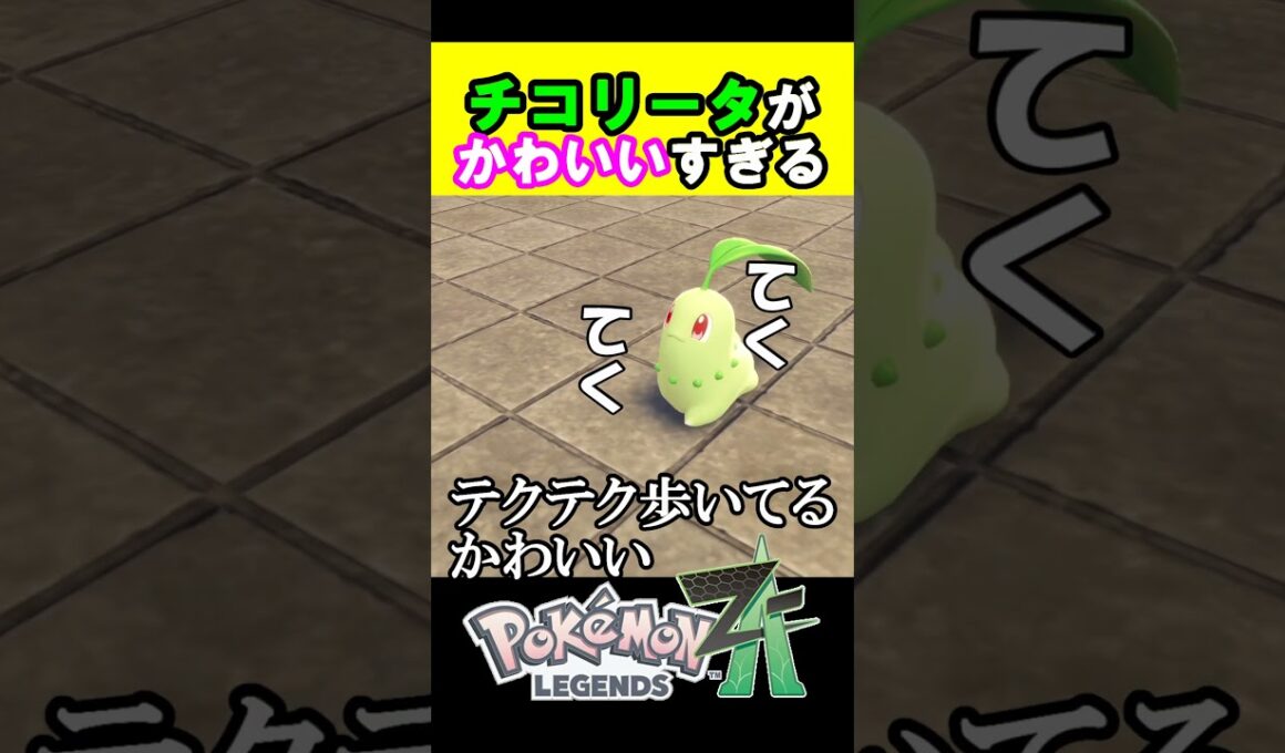 チコリータが可愛いだけの動画 #ポケモンza #shorts