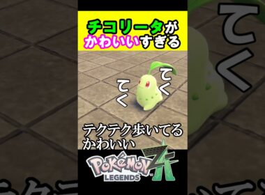 チコリータが可愛いだけの動画 #ポケモンza #shorts