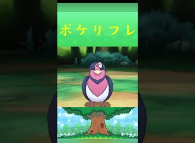 ポケモン オオスバメ  ポケリフレ ポケパルレ #ポケモン #Pokemon  #3DS #ポケモン技 #ポケモンsv #ポケモン#キャンプ #カレー #サンドイッチ #ピクニック