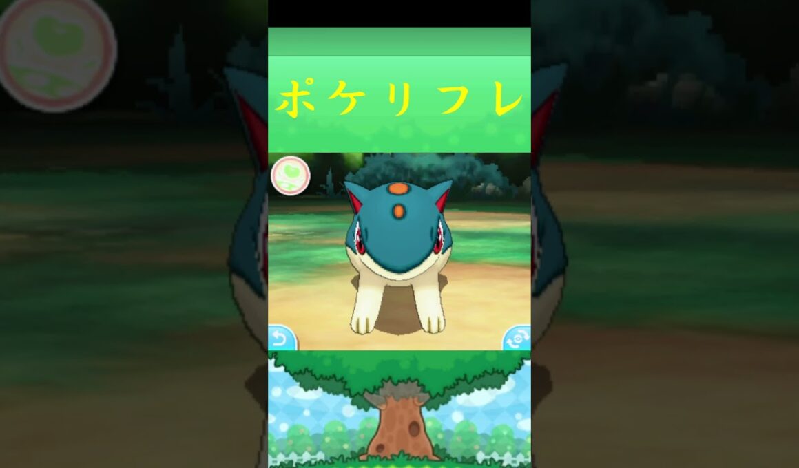 マグマラシ*ポケモン ポケリフレ ポケパルレ #ポケモン #Pokemon  #3DS #nintendoswitch #ポケモンsv #ポケモン #キャンプ #サンドイッチ #ピクニック