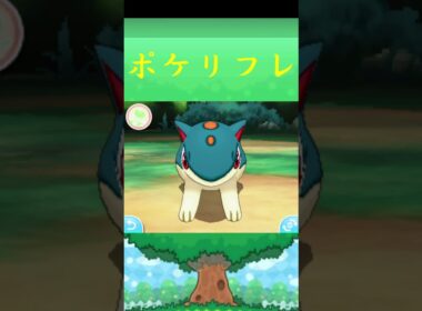 マグマラシ*ポケモン ポケリフレ ポケパルレ #ポケモン #Pokemon  #3DS #nintendoswitch #ポケモンsv #ポケモン #キャンプ #サンドイッチ #ピクニック