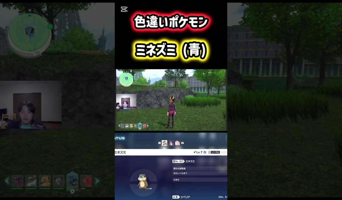 色違いポケモンの青ミネズミをゲット！ #ポケモン #pokemon #ポケモンレジェンズZA #ポケットモンスター #シベリアチャンネル